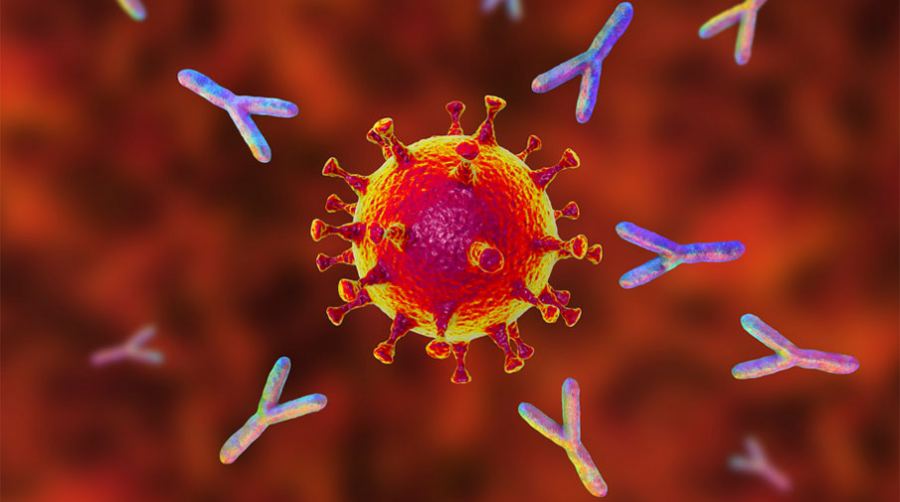 75.9 من الفلسطينيين في الضفة الغربية طوروا أجساما مضادة لفيروس كورونا وذلك وفق دراسة نفذت بالتعاون ما بين مركز الدراسات واستطلاع الرأي في الجامعة العربية الأمريكية والجهاز المركزي للإحصاء الفلسطيني