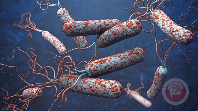 من اليمن إلى فرنسا.. انتشار سلالة الكوليرا شديدة المقاومة للأدوية