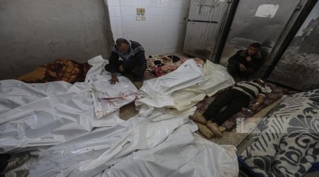  ٧ شهداء في مجزرة جديدة ارتكبها الاحتلال في بيت حانون شمالي قطاع غزة