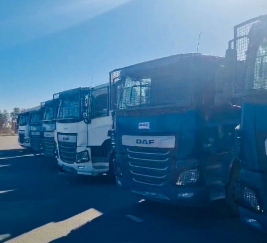 الإعلان الحكومي بغزة: تصريحات السفير الأمريكي حول عدد الشاحنات مضللة