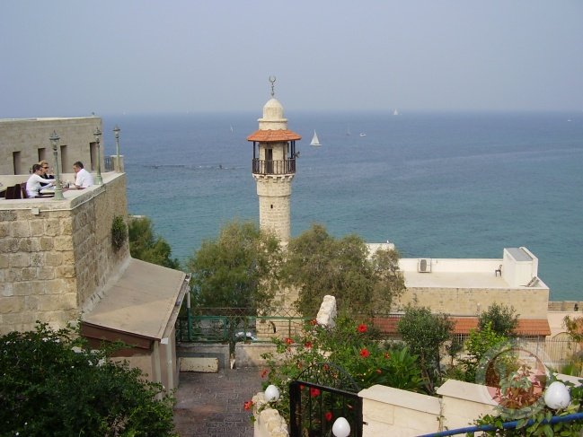 قيود وغرامات باهظة..